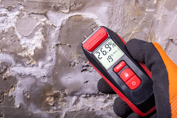 Best Certified Mold Removal  in Aumsville, OR