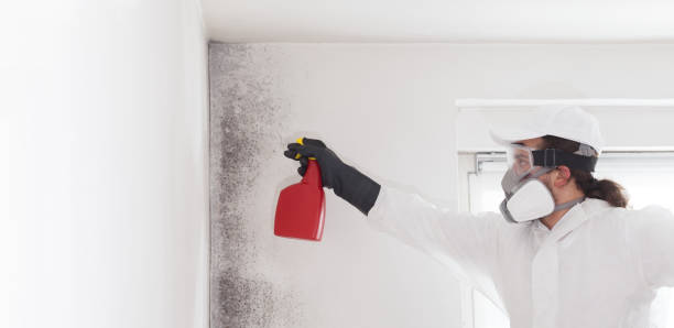 Mold Removal and Inspection in Aumsville, OR